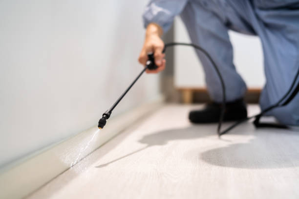 Licensed Cockroach Control service in Hansen, ID - Nex Pest Control