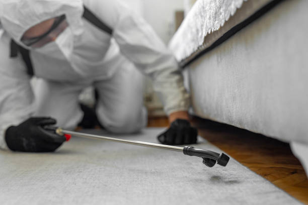 Professional Cockroach Control technician working in Hansen, ID