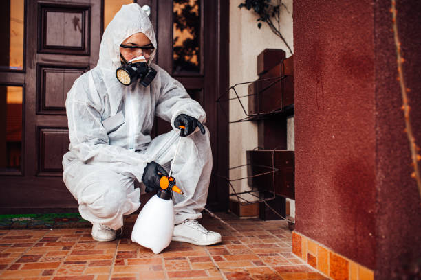 Reliable Cockroach Control contractor in Hansen, ID by Nex Pest Control